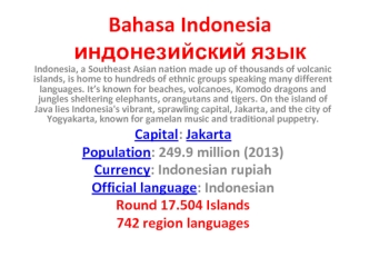 Bahasa Indonesia. Индонезийский язык