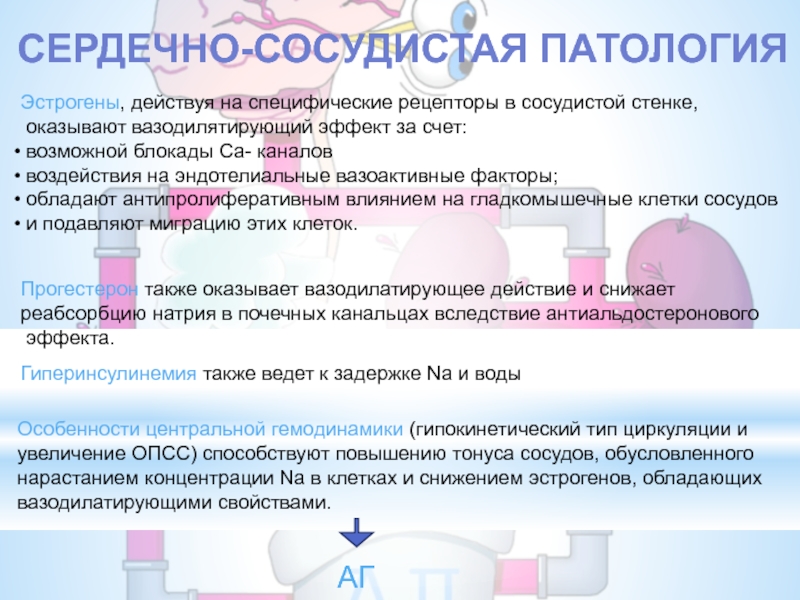 Антипролиферативный эффект диеногеста. Вазодилатирующее. Пре- Мено- и постменопауза.