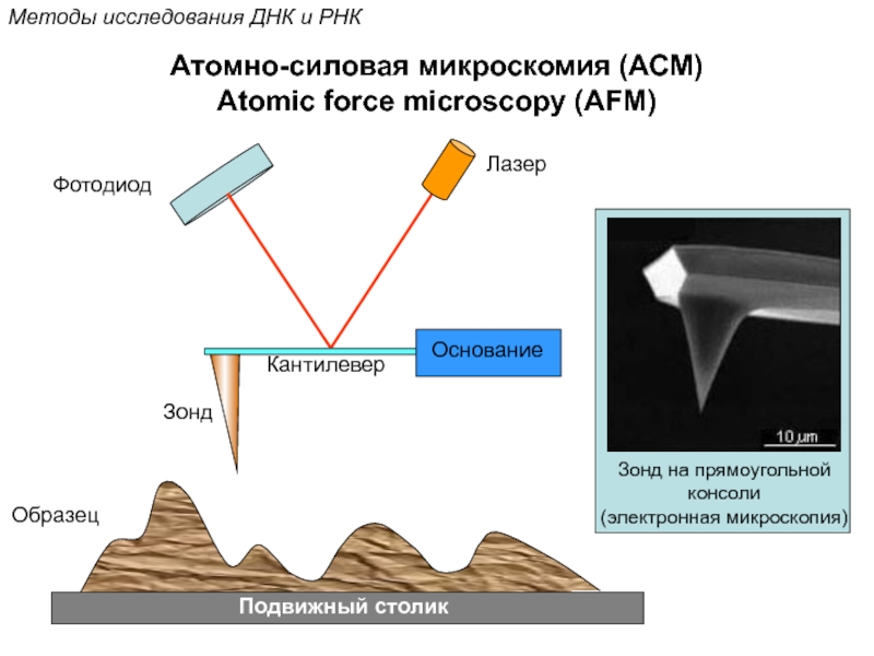 Атомно силовой микроскоп схема