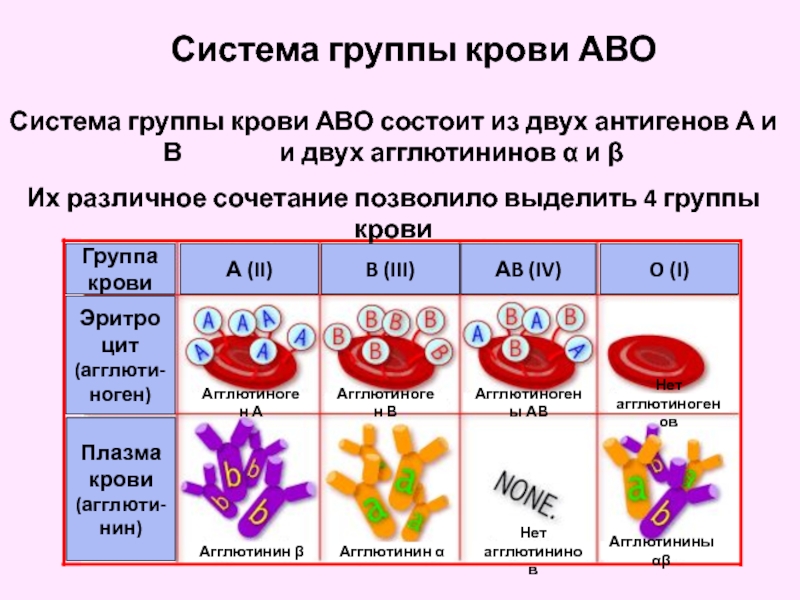 Определить группу крови по системе аво. Группа крови АВО антигены. Агглютинины групп крови системы АВО. Abo система групп крови. Группы крови прсисиемк АВО.