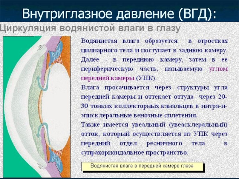 Симптомы глазного давления. Внутреннее глазное давление. Повышение офтальмотонуса механизм развития. Внутриглазное давление симптомы у взрослых. Виды внутриглазного давления.