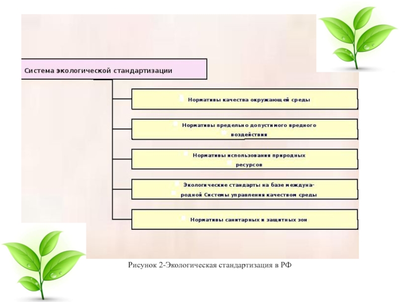 Презентация на тему стандартизация и экология