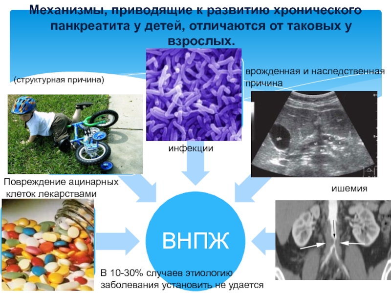 Панкреатическая недостаточность у детей презентация