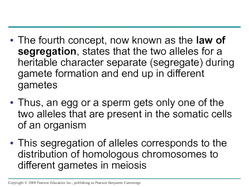 Mendel’s principle of segregation states that