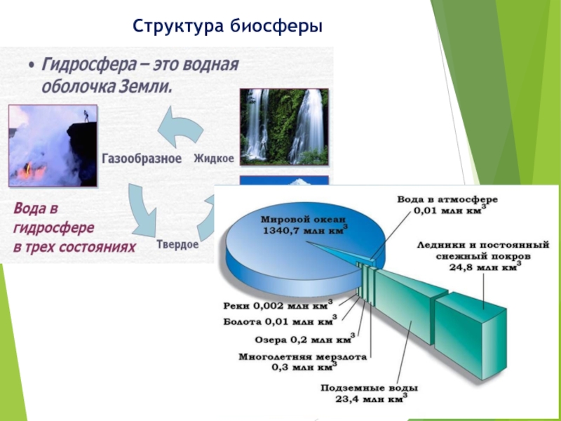 Презентация структура биосферы 11 класс