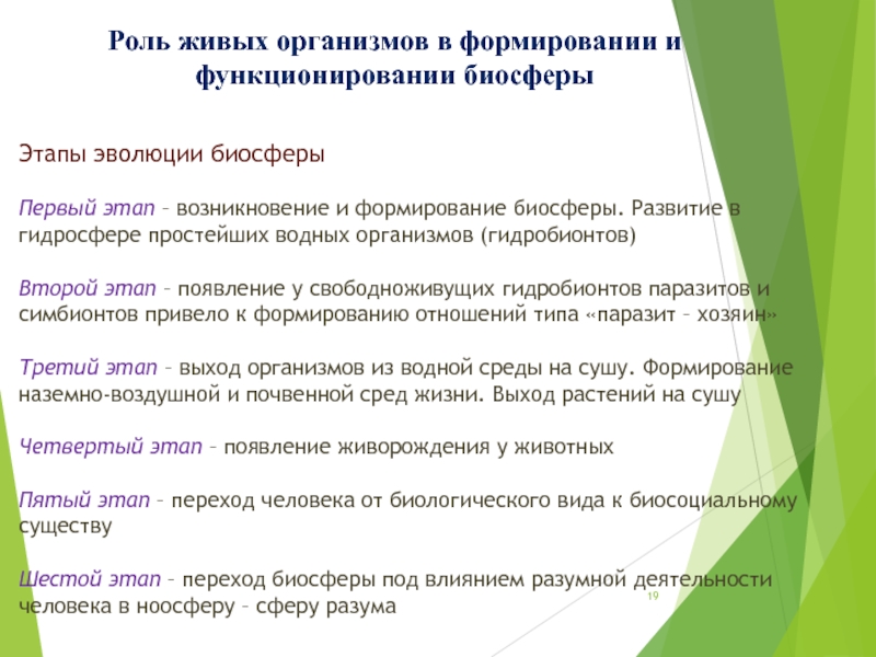 Развернутый план параграфа роль живых организмов в биосфере