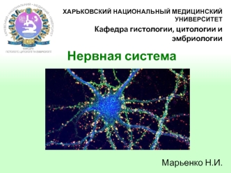 Нервная система