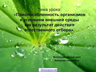 Приспособленность организмов к условиям внешней среды как результат действия естественного отбора