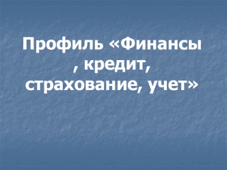 Организация дисциплин на профиле: финансы, кредит, страхование и учет