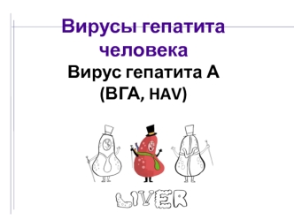 Вирус гепатита А (ВГА, HAV)