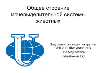 Строение мочевыделительной системы животных