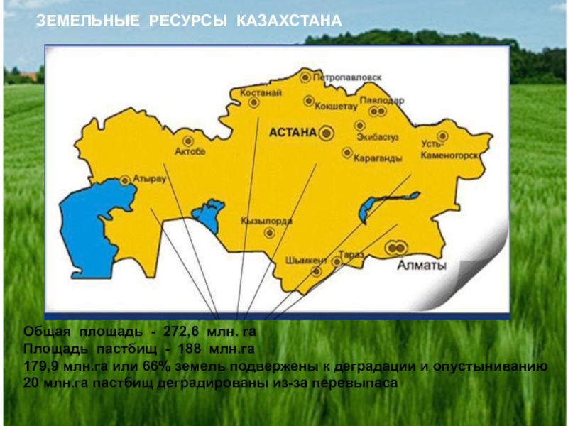 Реферат: История развития земельных отношений в Казахстане