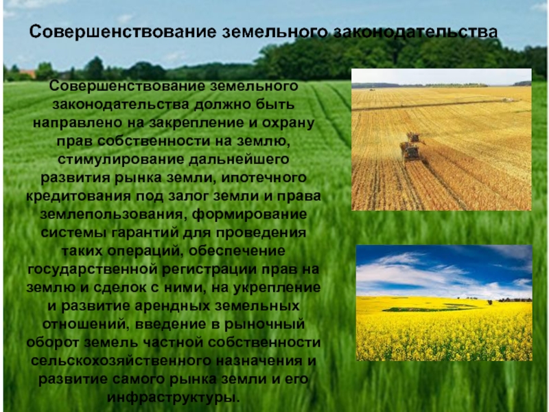 Реферат: История развития земельных отношений в Казахстане