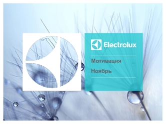 Схема расчета заработной платы. Electrolux