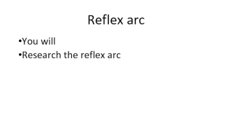 Reflex arc