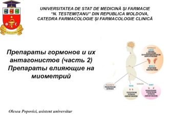 Препараты гормонов и их антагонистов. (Часть 2)