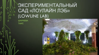 Экспериментальный сад Лоулайн Лэб (Lowline Lab)