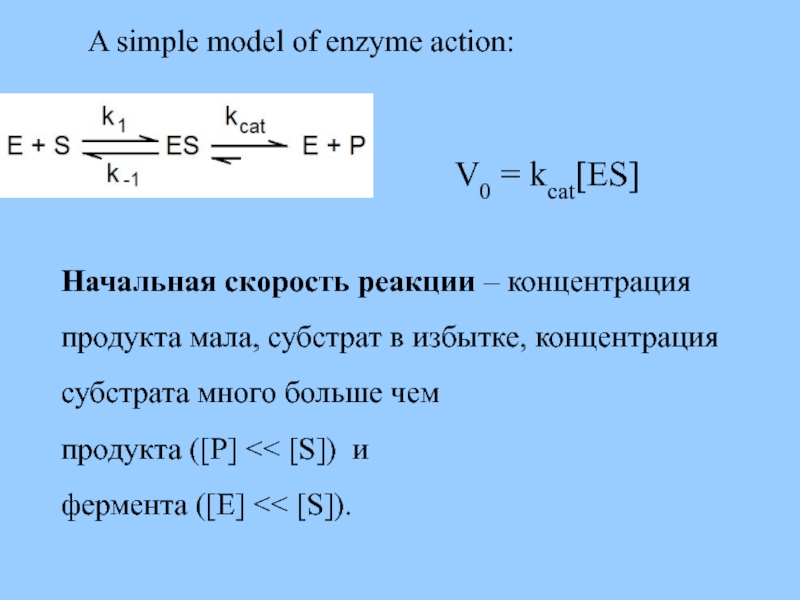 A simple model of enzyme action:  V0 = kcat[ES]
