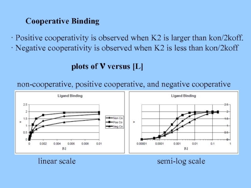Cooperative Binding · Positive cooperativity is observed when K2 is larger than