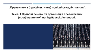 Правові основи та організація превентивної (профілактичної) поліцейської діяльності