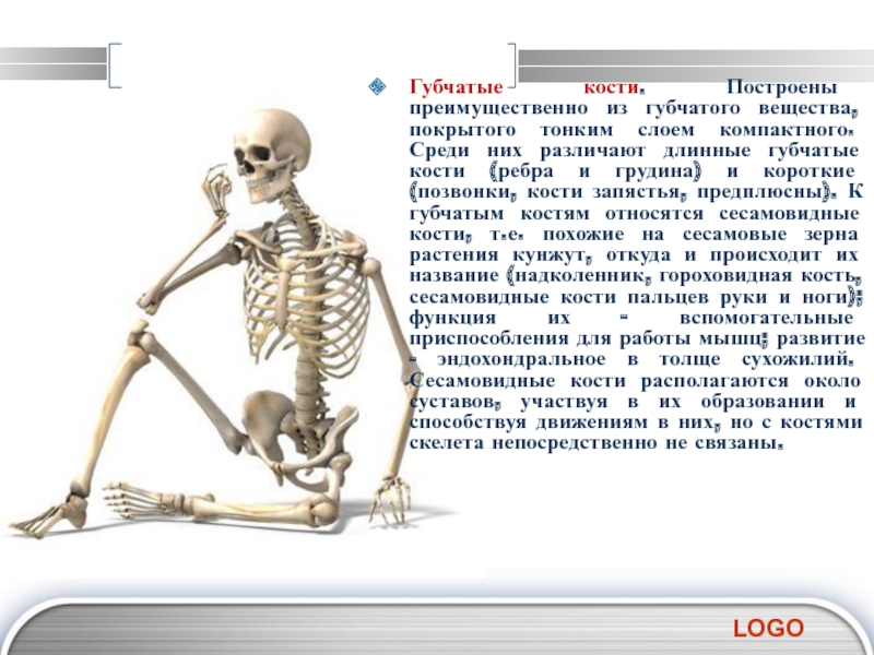 Губчатые кости скелета. Губчатые кости. Губчатые кости длинные и короткие. Ребра губчатые кости. Кости запястья относятся к костям губчатым.