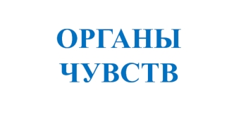 Органы чувств