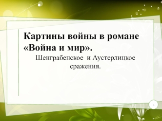 Картины войны в романе Война и мир. Шенграбенское и Аустерлицкое сражения