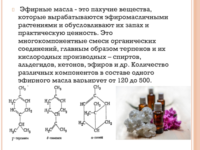 Эфирные масла содержат. Классификация эфирных масел. Терпены в эфирных маслах. Биологическая роль эфирных масел. Классификация эфирных масел по группам.