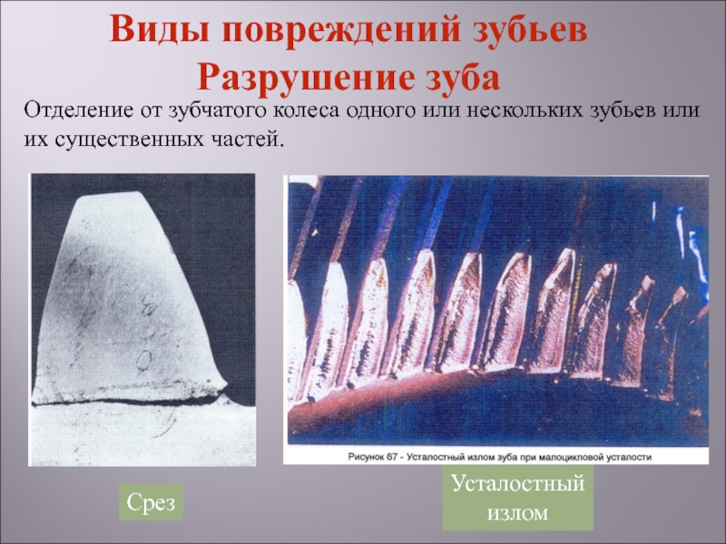 Виды разрушений. Излом зуба зубчатого колеса. Излом зуба шестерни. Тип зуба шестерни.