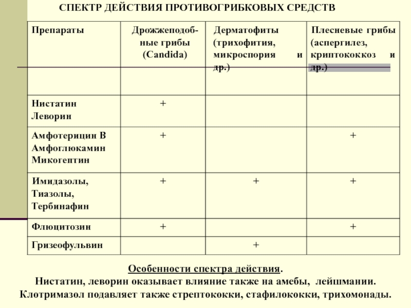 Противогрибковые средства фармакология презентация