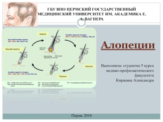 Алопеции. Патологическое выпадение волос