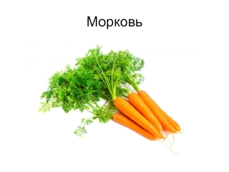 Морковь