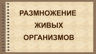 Размножение живых организмов