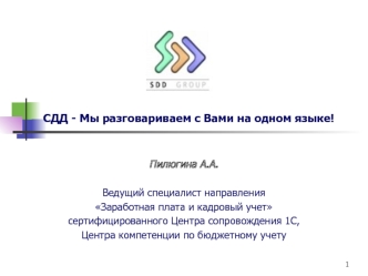 СДД - Мы разговариваем с Вами на одном языке