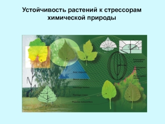 Устойчивость растений к стрессорам химической природы. (Лекция 2-3)