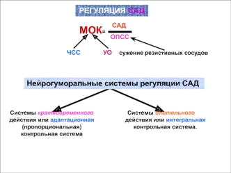 Регуляция САД