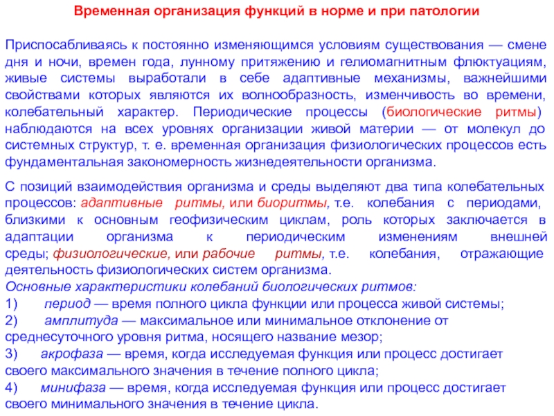 Временные организации. Временная организация. Временная организация систем. Временная организация текста.