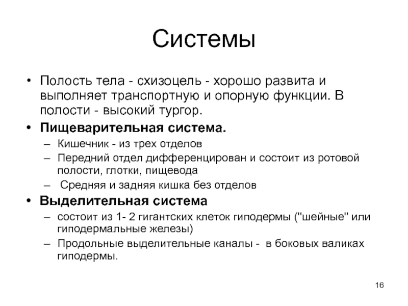 Система полостей. Первичная полость тела (схизоцель). Полости тела животных. Схизоцель функции. Схизоцель организмы.