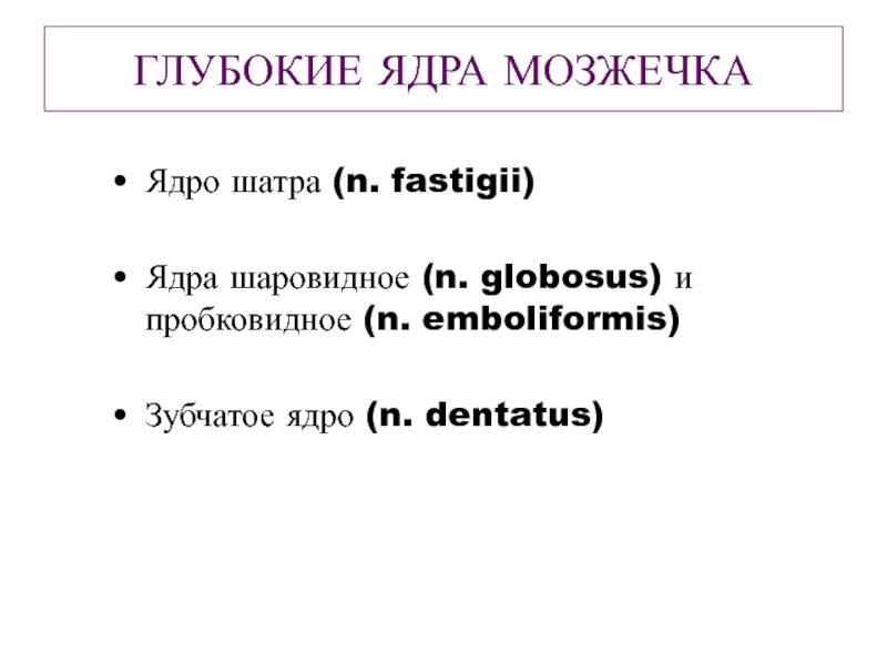 Шатром ударение. Emboliformis.