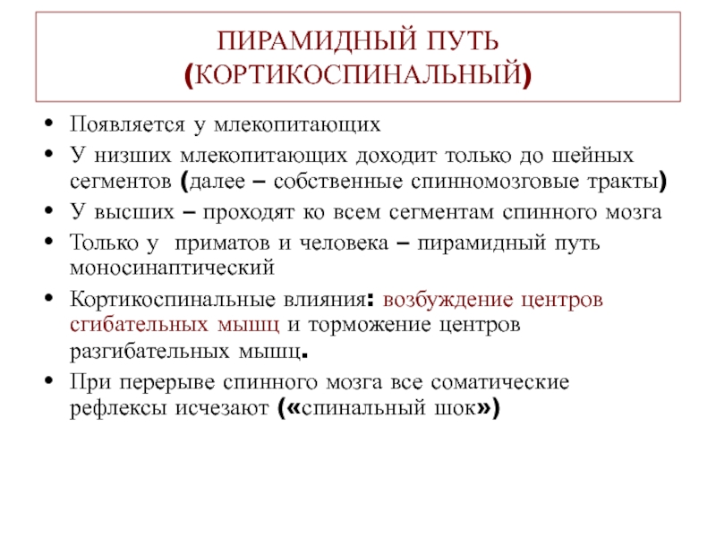 Путь функции. Методы исследования пирамидного пути. Кортикоспинальная возбудимость. Тормозное влияние кортикоспинального тракта. Компенсация дозы у млекопитающих..