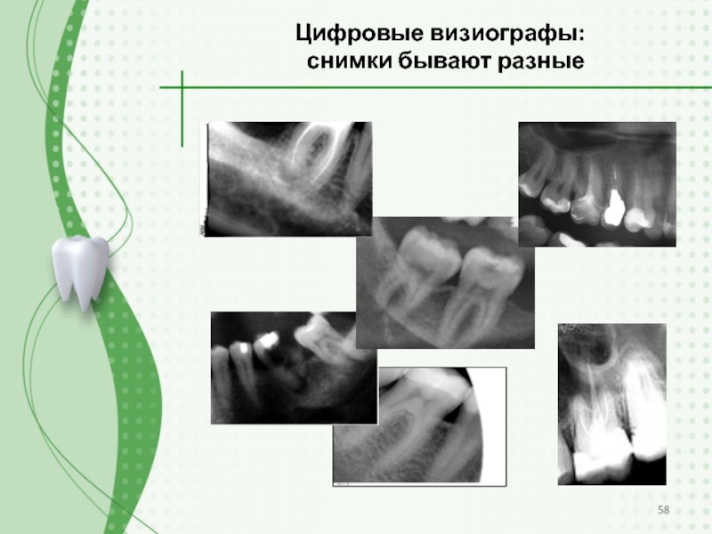 Квантовый шум презентация