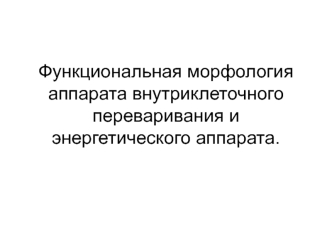 Функциональная морфология аппарата внутриклеточного переваривания и энергетического аппарата