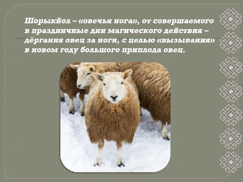 Шорыкйол – «овечья нога», от совершаемого в праздничные дни магического действия –