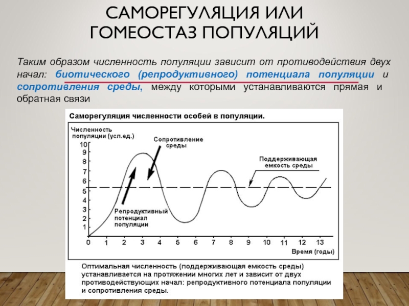 Какой метод для определения численности популяции показан на рисунке