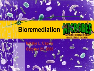 Bioremediation