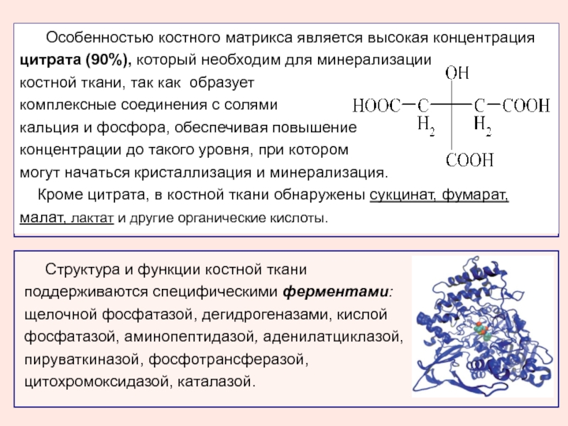 Кальций биохимия презентация