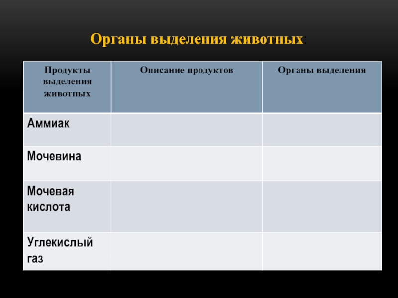 Органы выделения у животных 7 класс презентация