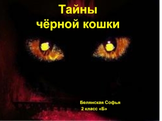 Тайны чёрной кошки