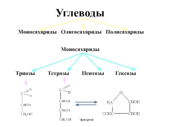 Углеводы. Моносахариды. Олигосахариды. Полисахариды