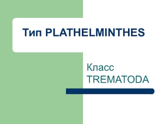 Тип plathelminthes. Класс trematoda. Строение и физиология мариты